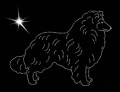 I Shep. Shee. 185x140.jpg