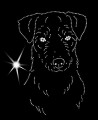 III Jack Russel wire head .jpg