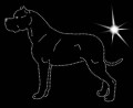 II.Dogo. Argen. 2. 180x145.jpg