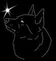 V Norweg. Buhund. Leb. 180x150.jpg