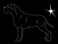 II.Cane. Corso. 1. 195x150.jpg