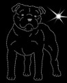 III Stafor. Bull. T.   175x125.JPG