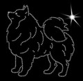 V German Spitz. Klein 130x125.jpg