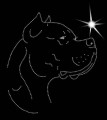 II.Dogo. Argen. Leb. 2. 180x160.jpg