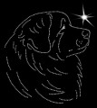 II Leonberg. Leb.185x170.jpg
