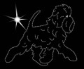 II.Affenp. move.  180x155.jpg