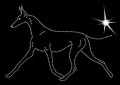 V Pharaoh. Hound. 185x135.jpg