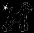 III Airedale terrier .jpg