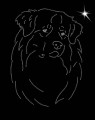 I Aust. Shep. Leb. 210x160.jpg
