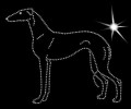 X Span.. Galgo. Smoo. 150x130.jpg