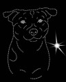 II.Danish-swed. Farmdog. Leb. 175x135.jpg