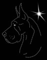 II.Great. Dane. Leb. 2 205x150.jpg