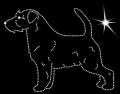 III Jack Russel wire. 170x125.jpg
