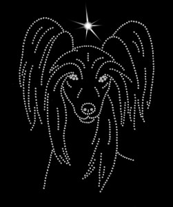 Chinese Crested Dog Hairless diamond aplication 