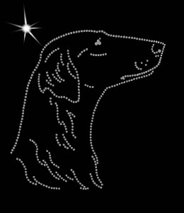 FLAT COATED RETRIEVER DIAMOND APLICATION