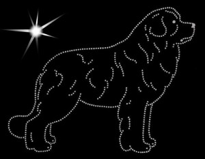 LANDSEER DIAMOND APLICATION 