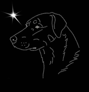 OWCZAREK FRANCUSKI BEAUCERON - APLIKACJA