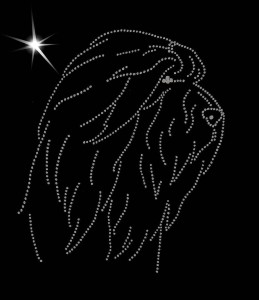 OWCZAREK FRANCUSKI BRIARD - APLIKACJA DIAMENTOWA