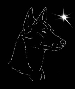 Owczarek holenderski krótkowłosy - APLIKACJA DIAMENTOWA