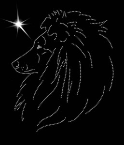 OWCZAREK SZETLANDZKI - APLIKACJA DIAMENTOWA