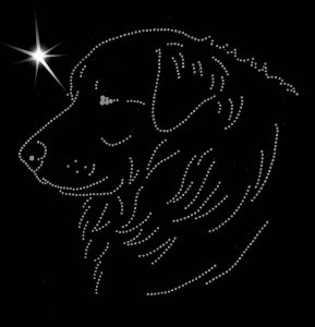 Czuwacz słowacki - APLIKACJA DIAMENTOWA