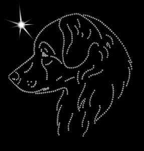 NOVA SCOTIA DUCK TOLLING RETRIEVER - APLIKACJA DIAMENTOWA