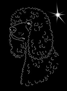 IRLANDZKI SPANIEL DOWODNY - APLIKACJA DIAMENTOWA