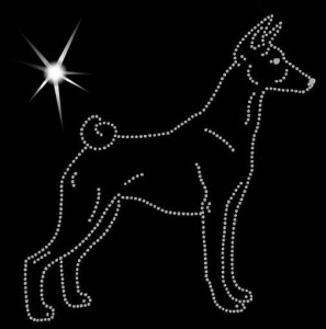 BASENJI - APLIKACJA DIAMENTOWA