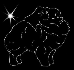 POMERANIAN - APLIKACJA DIAMENTOWA