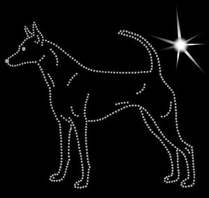  Tajwan Dog - APLIKACJA DIAMENTOWA