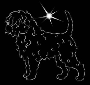 AFFENPINSCHER - APLIKACJA DIAMENTOWA