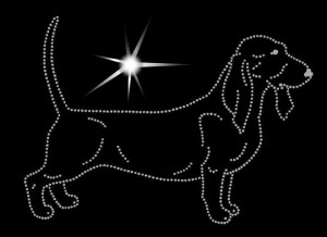 BASSET ARTÉSIEN NORMAND DIAMOND APLIICATION
