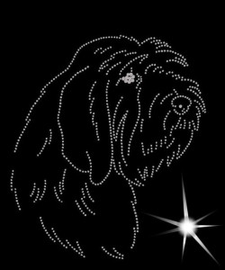 PETIT BASSET GRIFFON VENDEEN DIAMOND APLIICATION