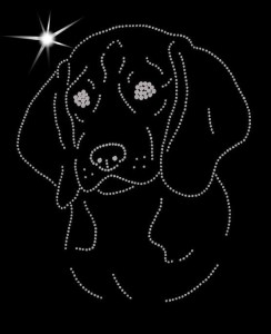 BEAGLE  - APLIKACJA DIAMENTOWA