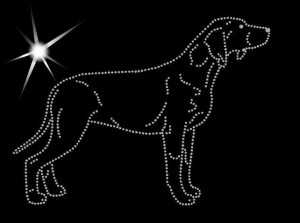 GOŃCZY FIŃSKI - APLIKACJA DIAMENTOWA