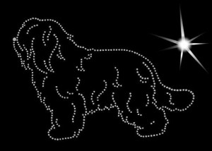 POLSKI OWCZAREK NIZINNY - APLIKACJA DIAMENTOWA