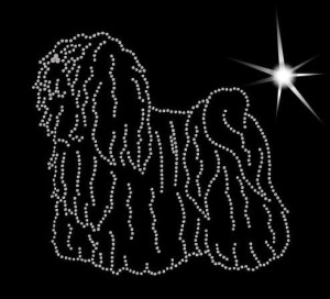 PULI - APLIKACJA DIAMENTOWA