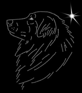  Owczarek rumuński Karpatin - APLIKACJA DIAMENTOWA