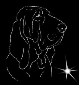 BRACCO ITALIANO  DIAMOND APLIICATION