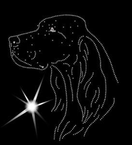 ENGLISH SETTER DIAMOND APLIICATION