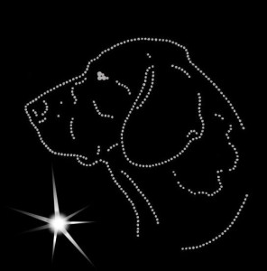  Gammel Dansk Hönsehund DIAMOND APLIICATION