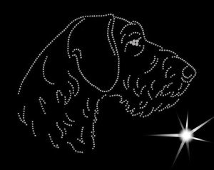 GERMAN POINTER WIRE-HAIRED DIAMOND APLIICATION