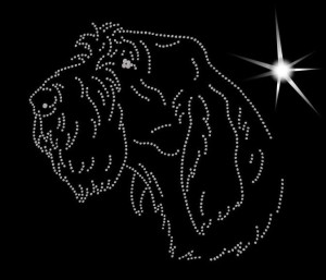 SPINONE ITALIANO DIAMOND APLIICATION