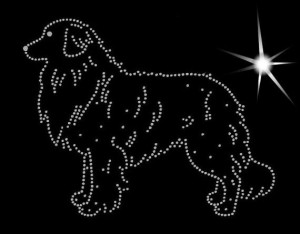 Wyżeł fryzyjski - APLIKACJA DIAMENTOWA