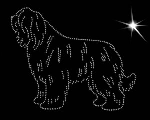 Portuguese Sheepdog DIAMOND APLICATION