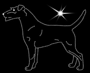  Niemiecki terier myśliwski -  APLIKACJA DIAMENTOWA