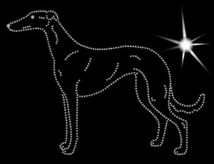 POLISH GREYHOUND DIAMOND APLICATION