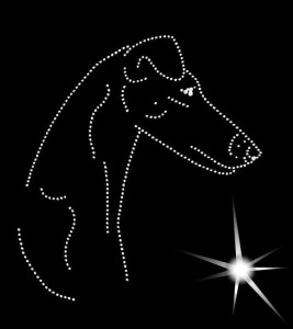 FOX TERRIER SMOOTH  DIAMOND APLICATION