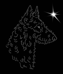 BELGIAN SHEPHERD LAEKENOIS DIAMOND APLICATION