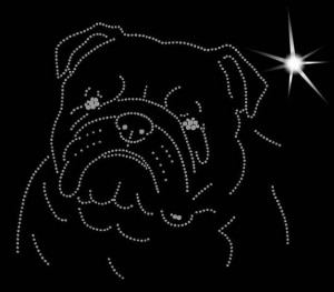 BULLDOG  DIAMOND APLICATION